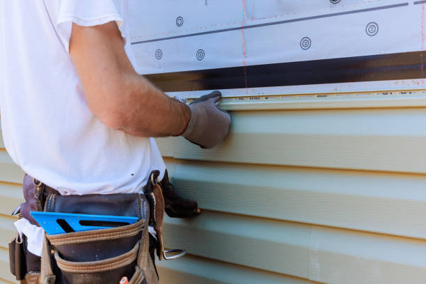Affordable Siding Repair solutions in Louisa, VA